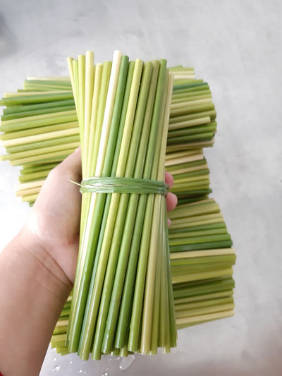 Grass Straws Biodegradable Compostable Disposable Natural Handmade Non Soggy No Glue. Holds Heat and Cold